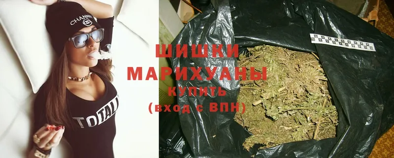 магазин продажи наркотиков  Бийск  hydra ссылка  Канабис Ganja 